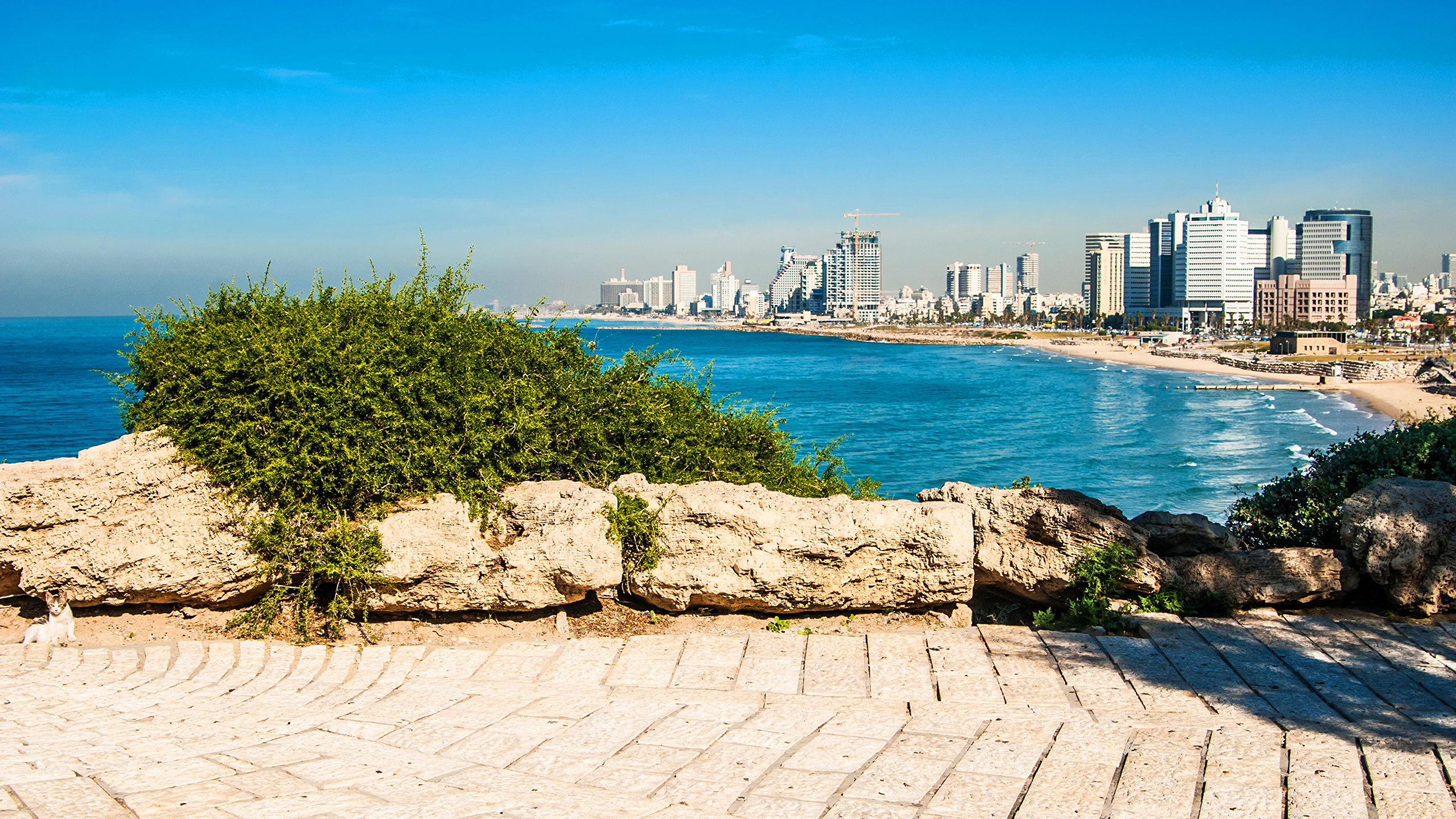 2560 X - Tel Aviv Israel Sea , HD Wallpaper & Backgrounds