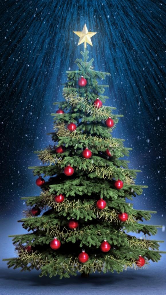 Free Christmas Wallpaper For Android - Christmas Tree At Night , HD Wallpaper & Backgrounds