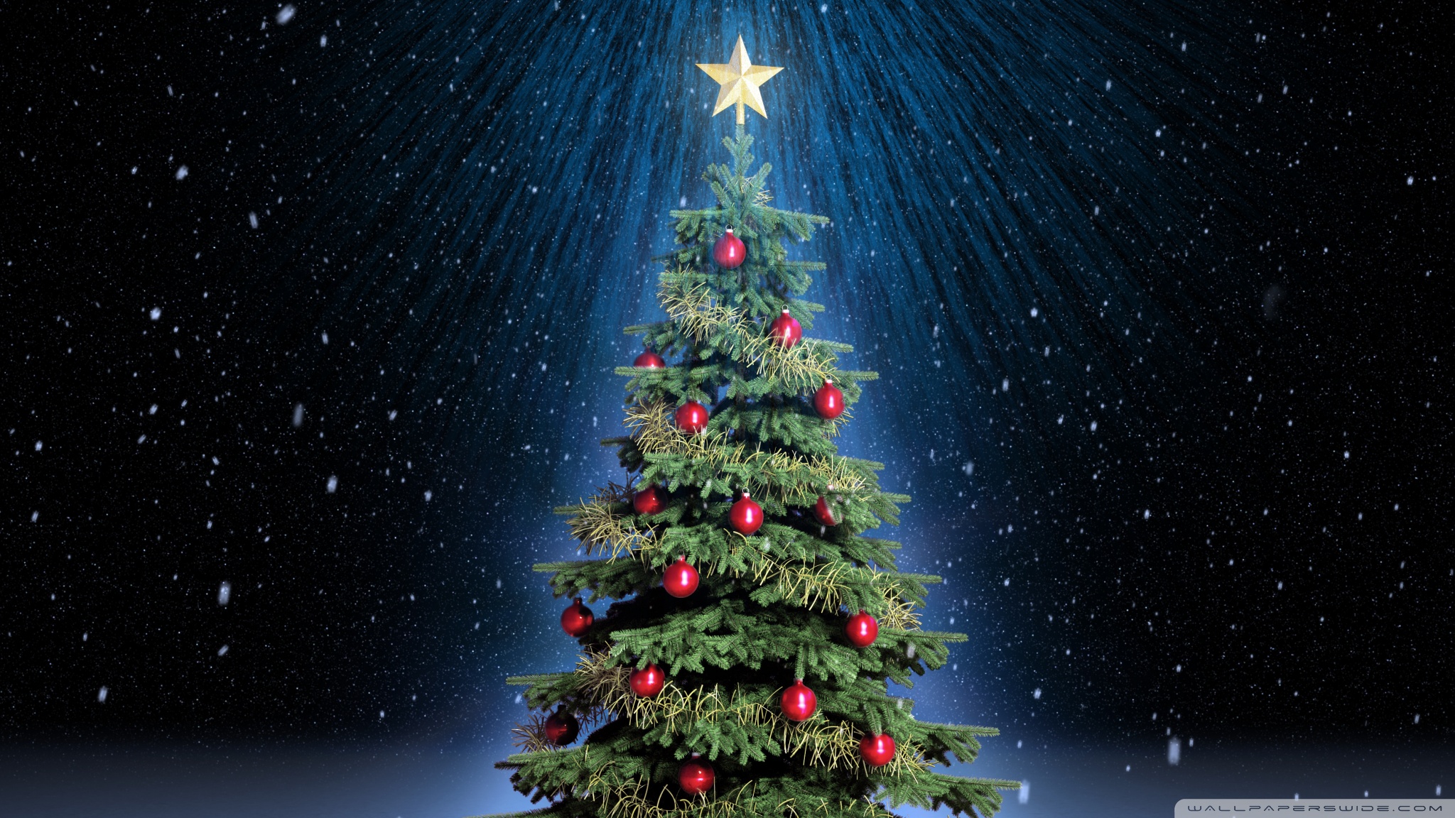 Hd 16 - - High Resolution Christmas Tree , HD Wallpaper & Backgrounds