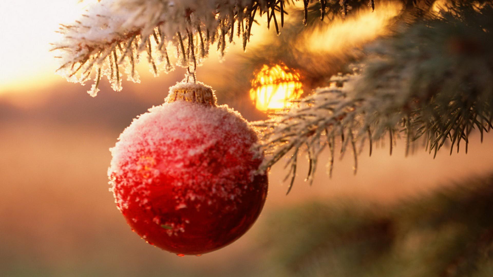 Christmas Wallpaper Tumblr , HD Wallpaper & Backgrounds