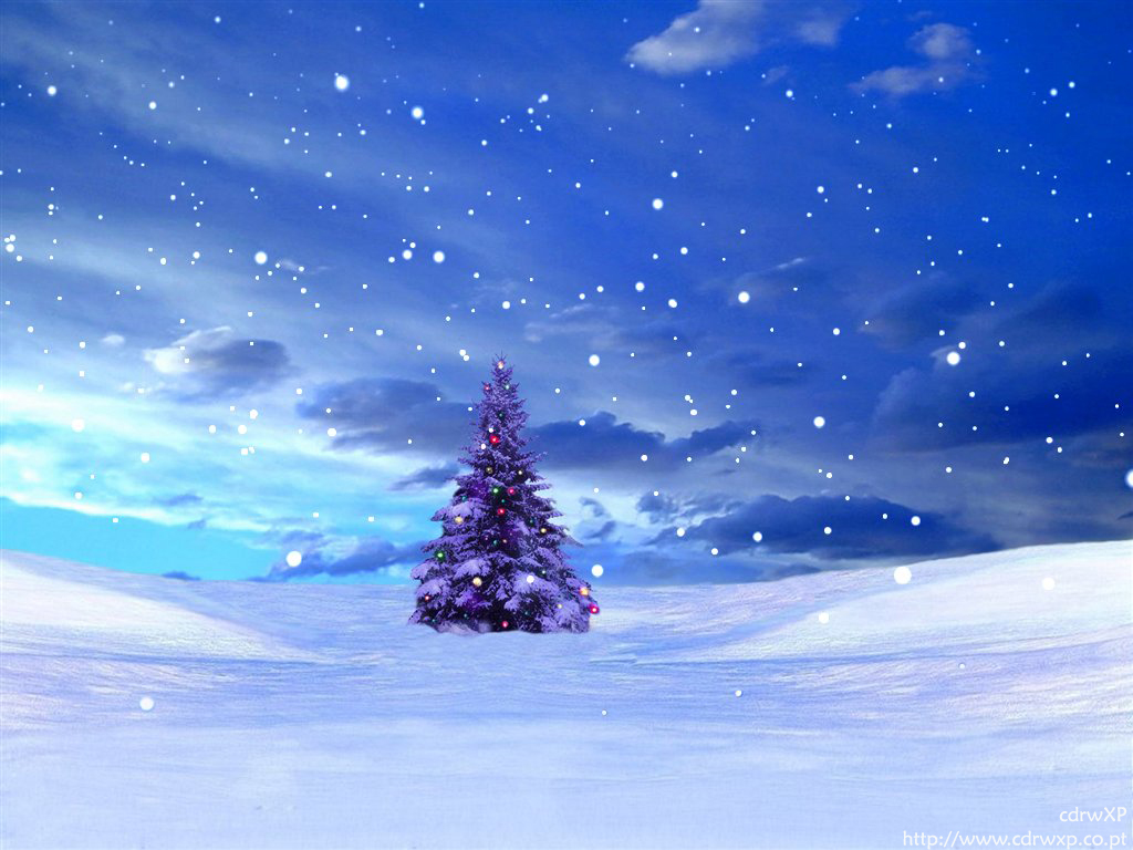 Christmas Tree Alone Christian Wallpaper Free Download - Multan , HD Wallpaper & Backgrounds