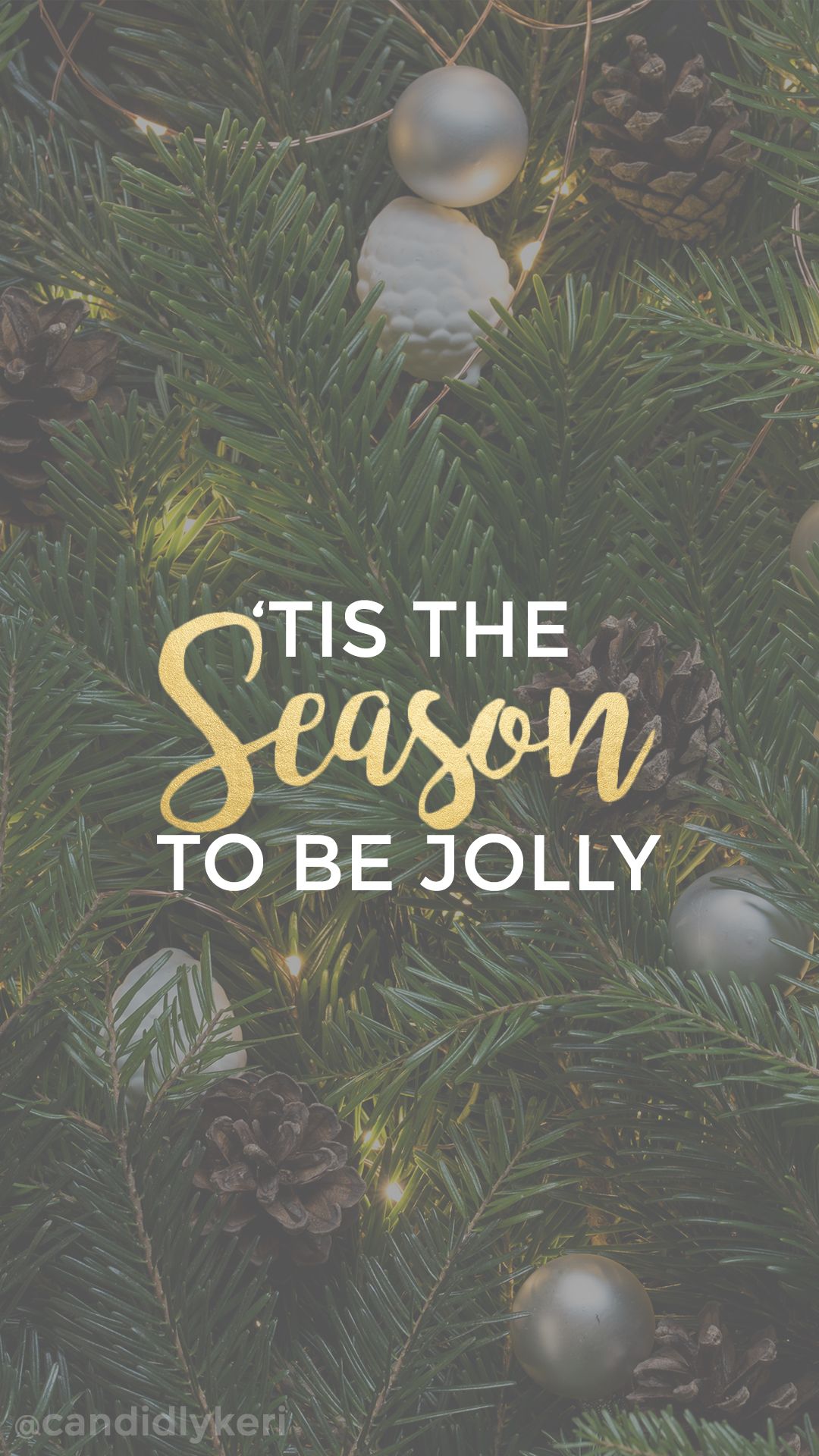 Tis The Season To Be Jolly Christmas Tree Pine Background - Its The Season To Be Jolly , HD Wallpaper & Backgrounds
