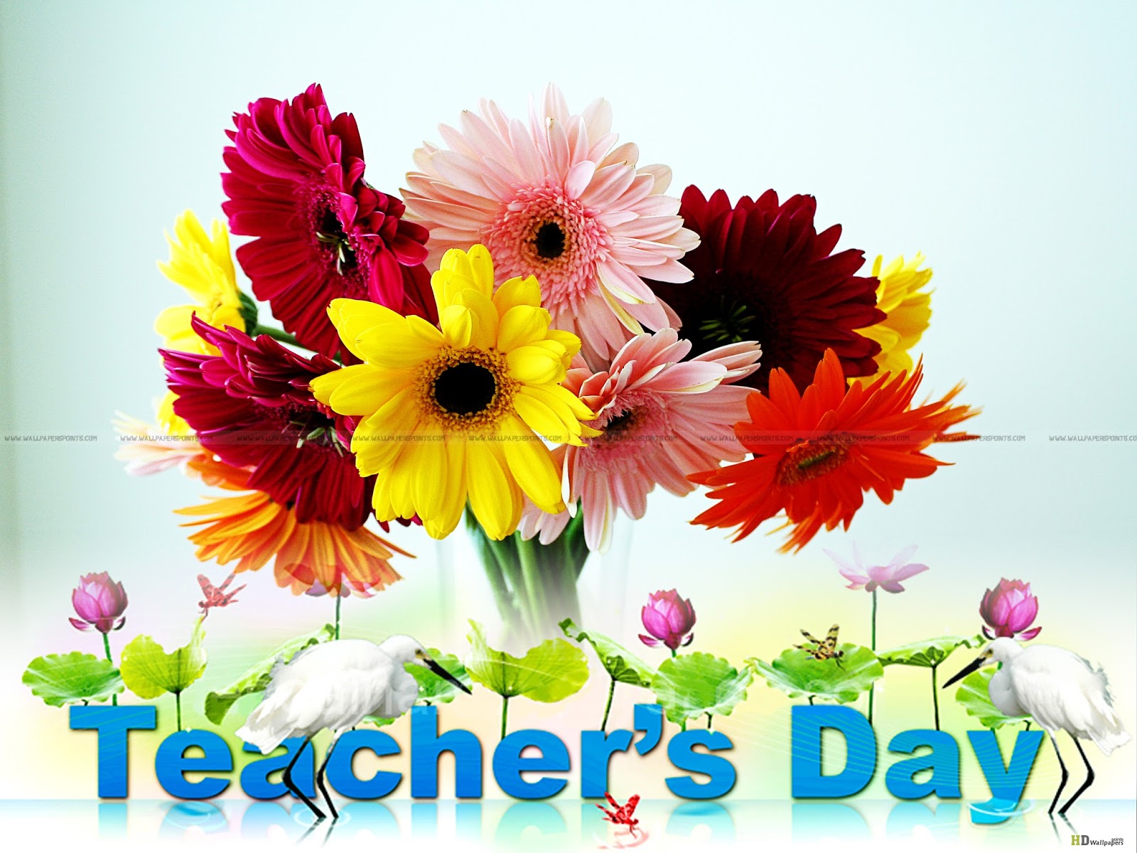 Teachers Day - Beautiful Flowers In A Vase , HD Wallpaper & Backgrounds