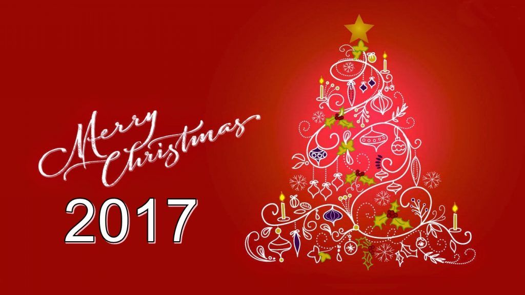 Merry Christmas Images Pictures Photos Hd Wallpapers - Merry Christmas Eve Flowers , HD Wallpaper & Backgrounds