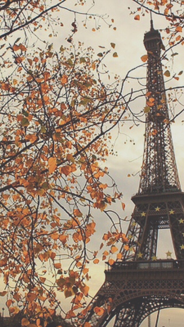 Photography Tumblr Landscape Wallpaper Nature Paris - Eiffel Tower , HD Wallpaper & Backgrounds
