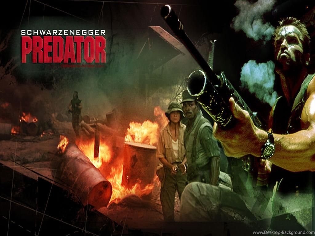 Hollywood Movies Wallpapers 8731 Hd Wallpapers In Movies - Predator 1987 , HD Wallpaper & Backgrounds