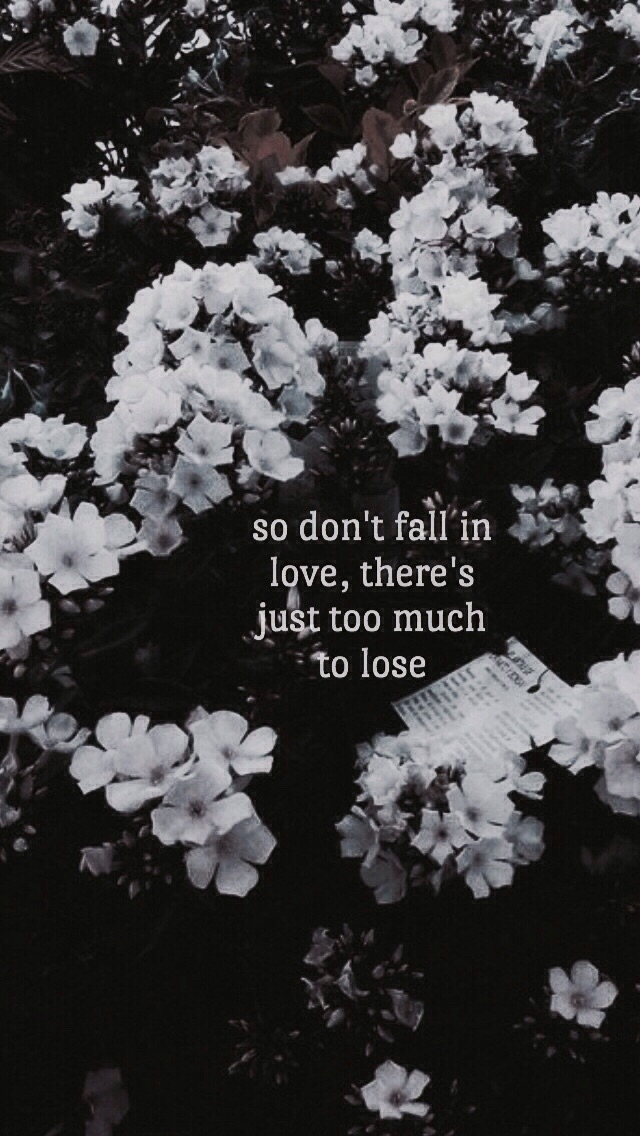 1024 - So Don T Fall In Love There's Just Too Much To Lose , HD Wallpaper & Backgrounds