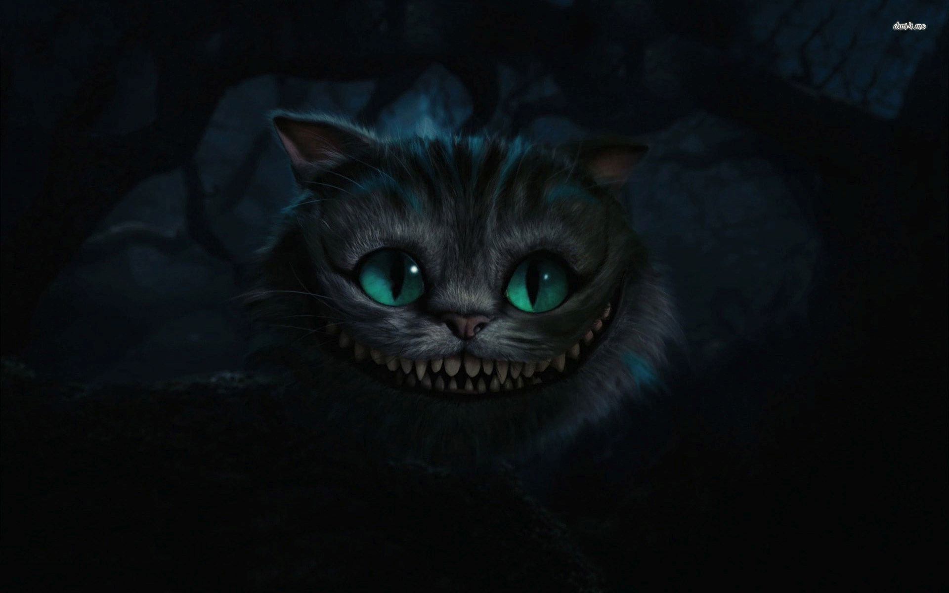 Cheshire Cat Wallpaper - Cheshire Cat Ultra Hd , HD Wallpaper & Backgrounds