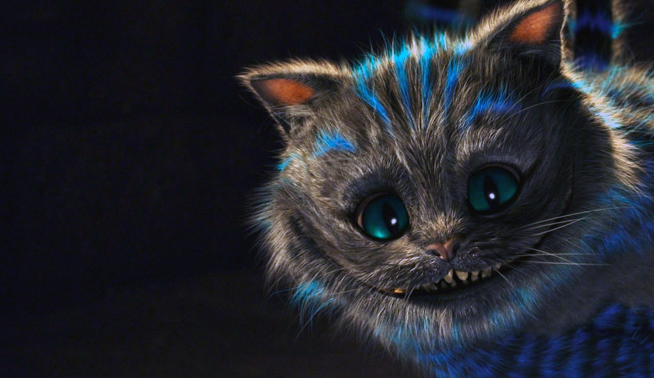 Cheshire Cat Wallpaper Tumblr - Cats Wallpaper For Laptop , HD Wallpaper & Backgrounds