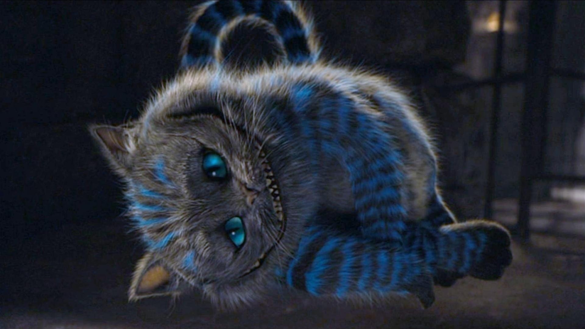 Cheshire Cat Wallpaper Hd - Cheshire Cat Hd , HD Wallpaper & Backgrounds