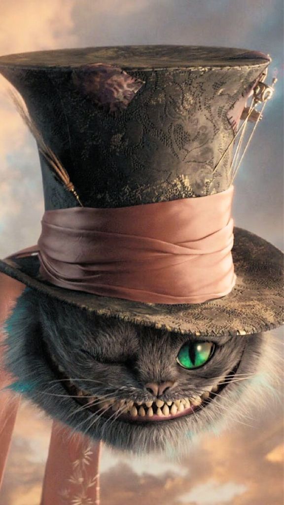 Alice In Wonderland, Cheshire Cat - Alice In Wonderland Cat With Hat , HD Wallpaper & Backgrounds
