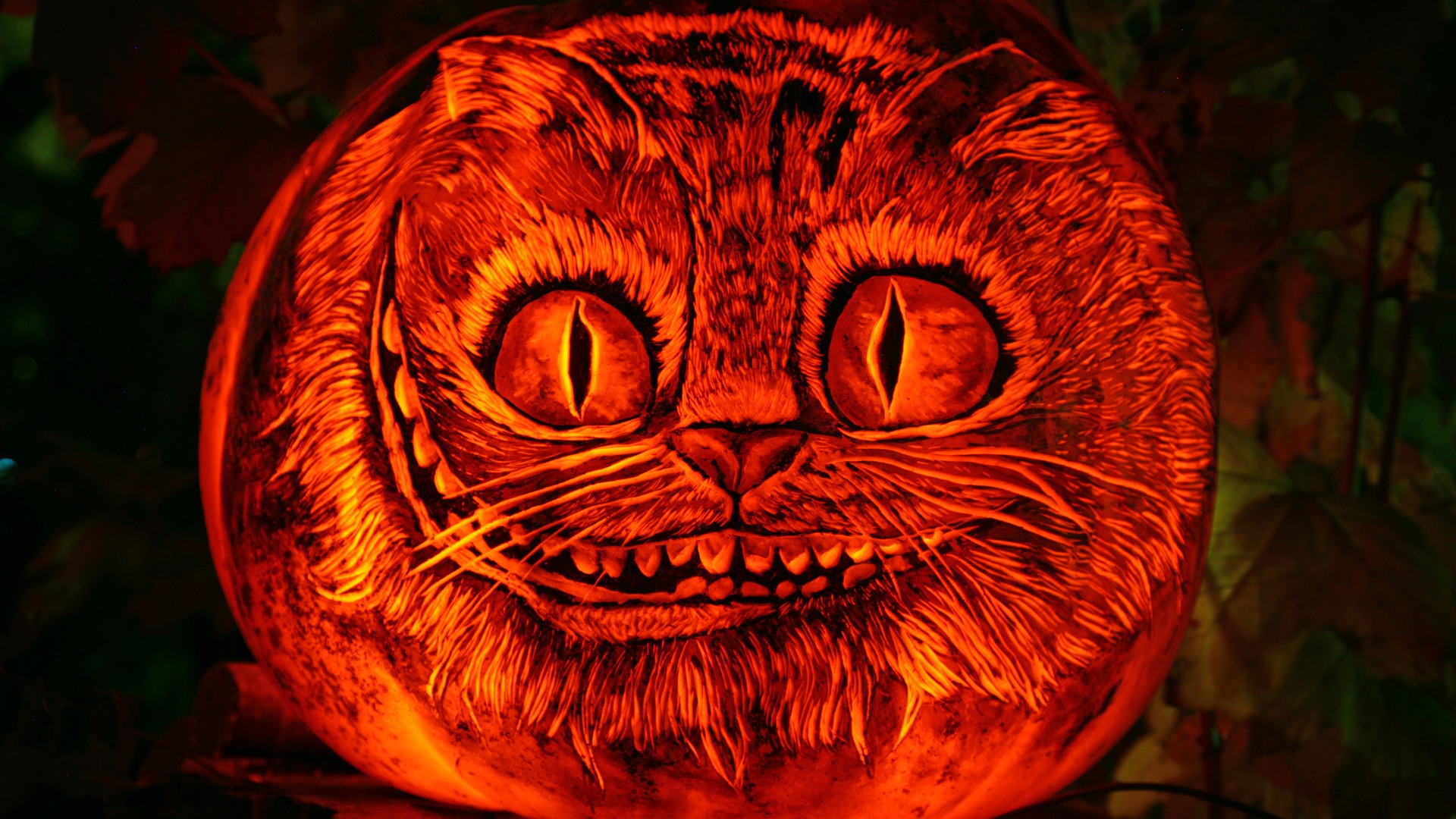Cheshire Cat Wallpaper - Creepy Cheshire Cat Pumpkin , HD Wallpaper & Backgrounds