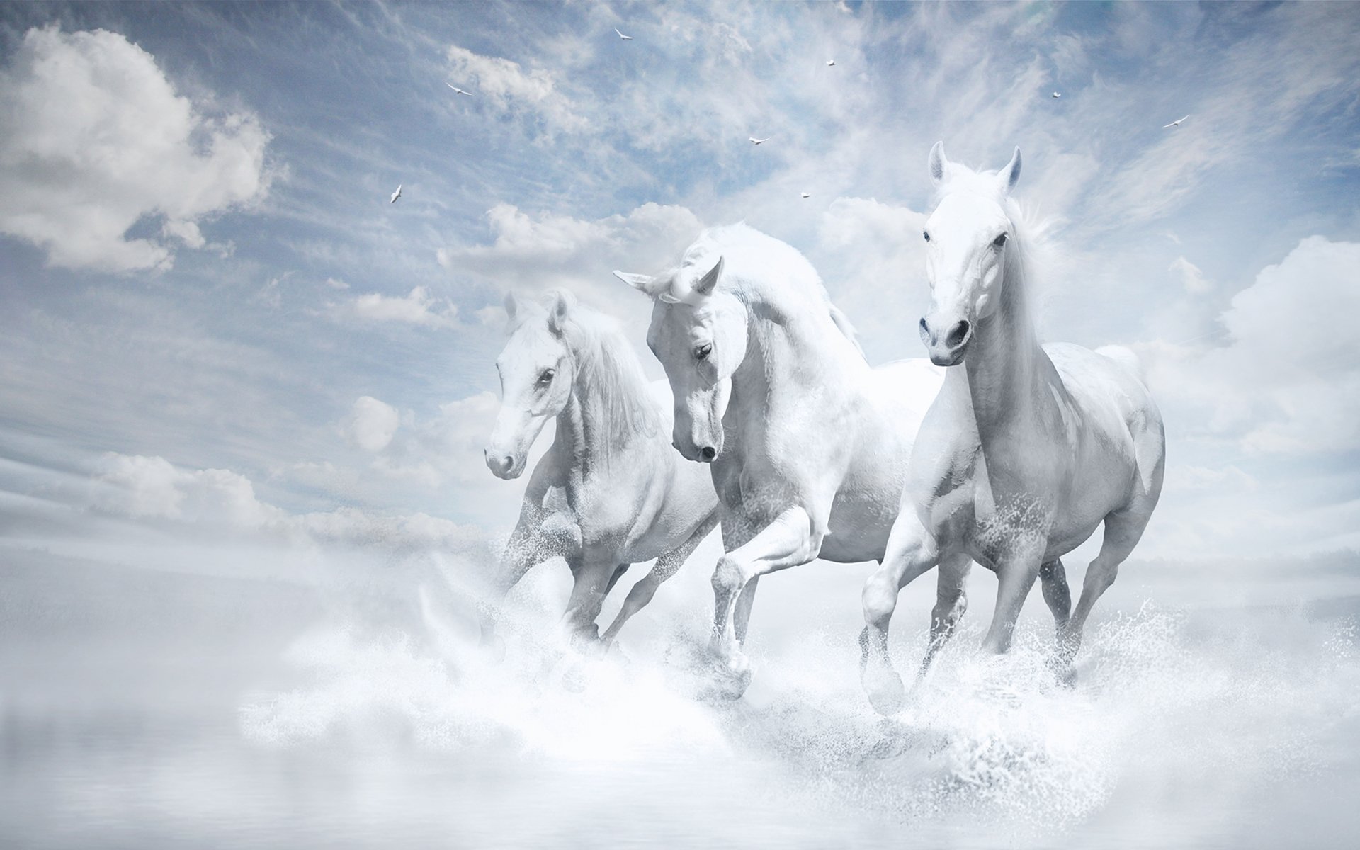 White Horses White Horse Wallpaper - White Horses In The Sky , HD Wallpaper & Backgrounds
