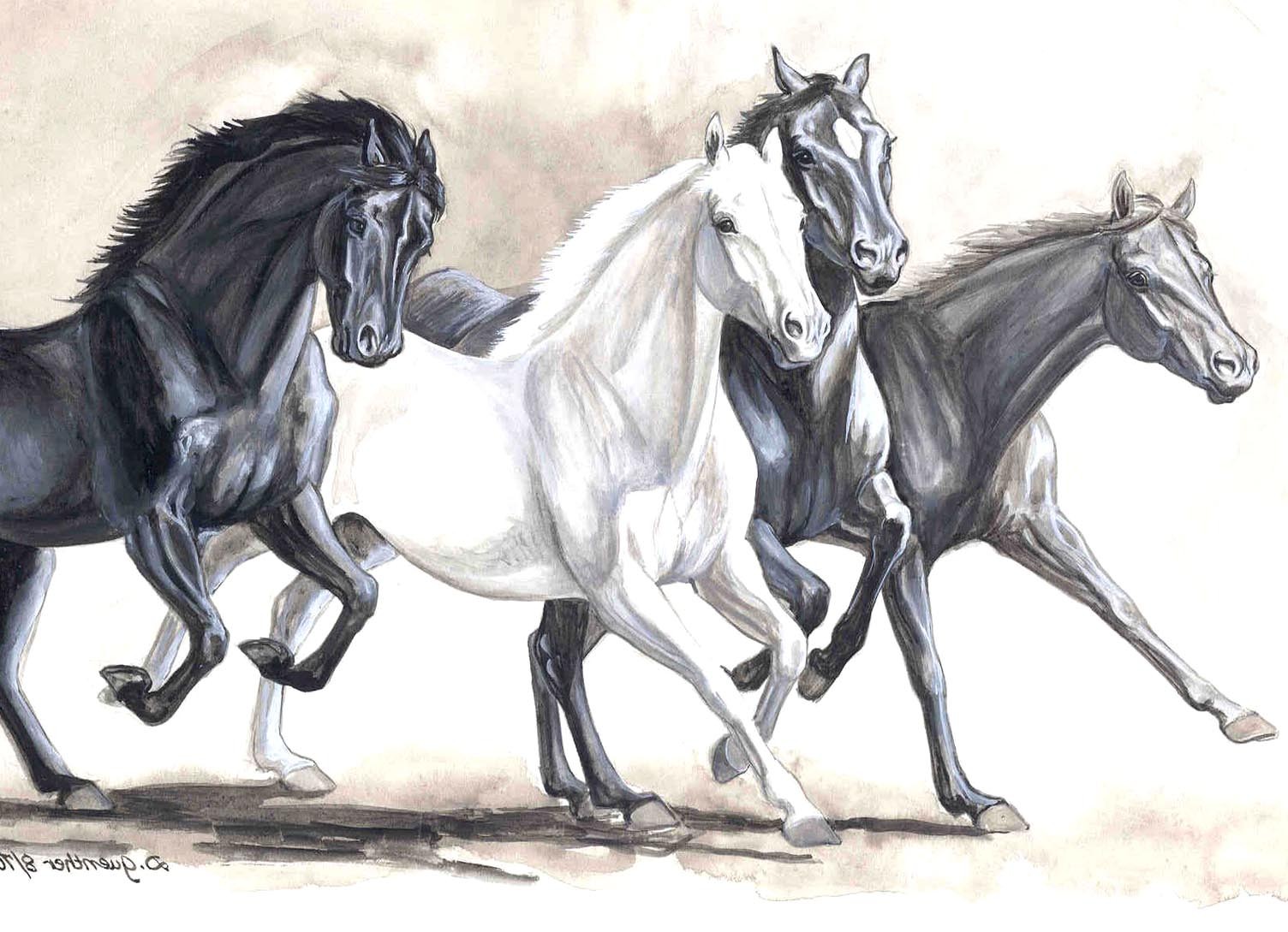 Art, White, Horse, Painting, Digital, Horse, Wallpaper, - Horse Painting High Resolution , HD Wallpaper & Backgrounds