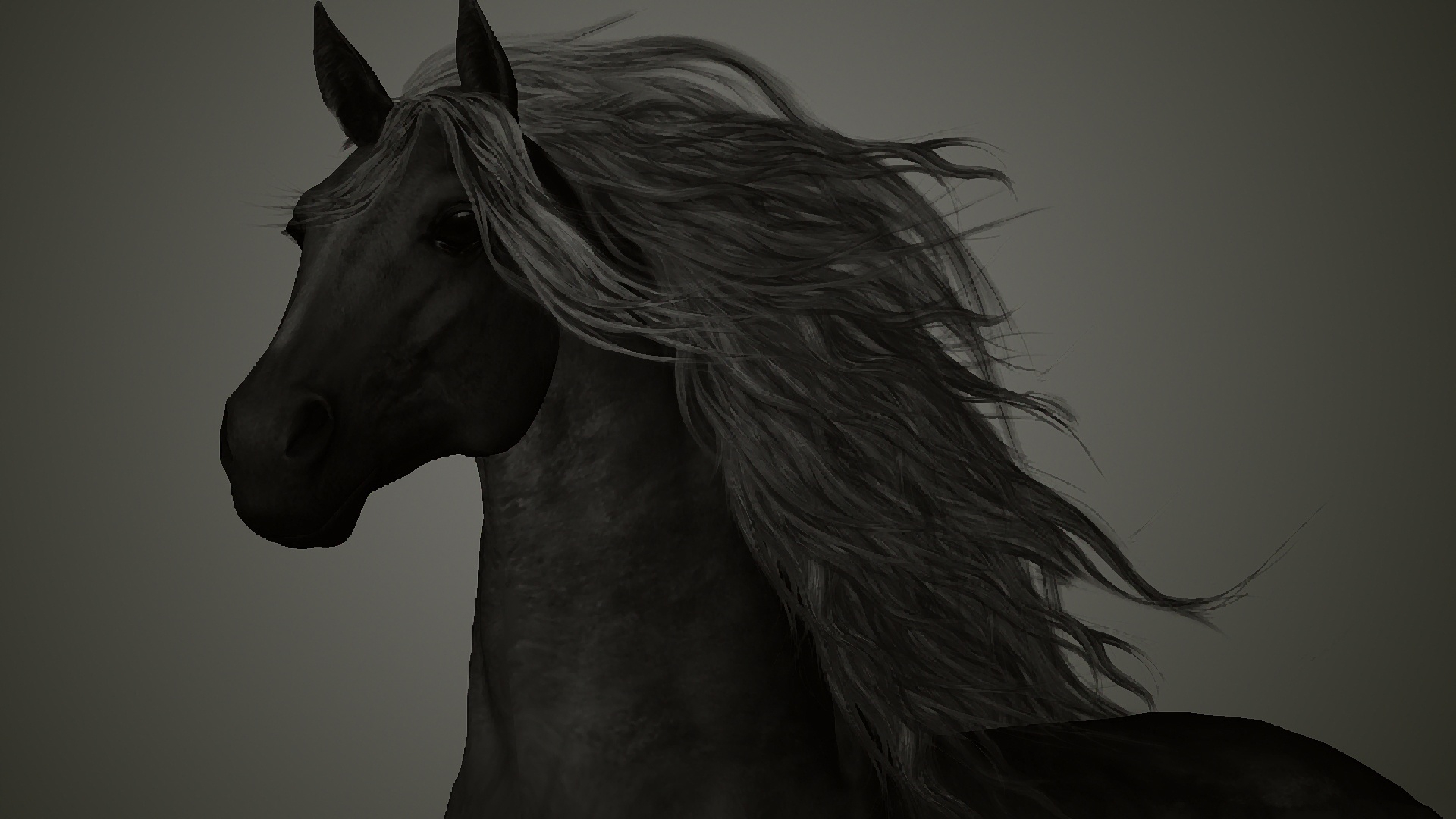 Free Download Black Horse Wallpaper - Hd Photos Arabian Horse , HD Wallpaper & Backgrounds