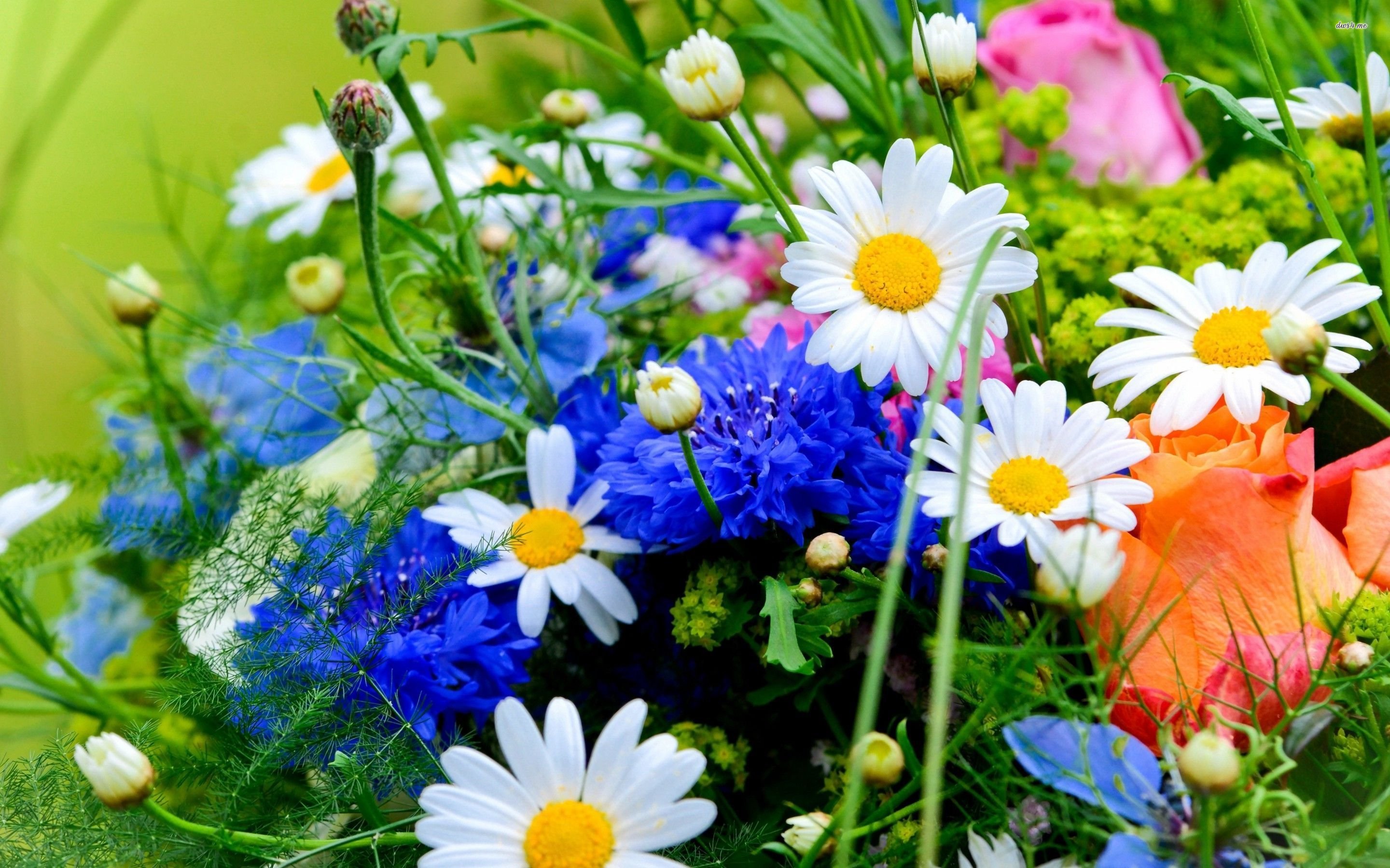 Bouquet Of Spring Flowers Hd Wallpaper - Desktop Background Flower Hd , HD Wallpaper & Backgrounds