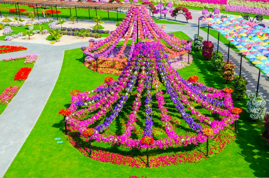 Dubai Miracle Garden Free Hd Wallpapers For Desktop - World Beautiful Flowers Garden , HD Wallpaper & Backgrounds