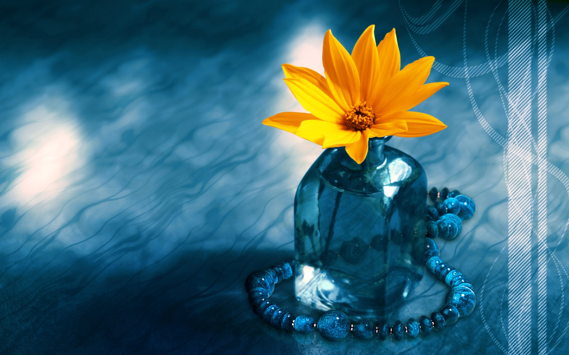 Blue Sun Flower Free Desktop Flower Hd Photos Desktop