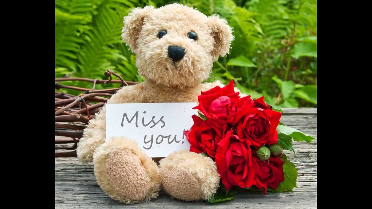I Miss You Wallpaper Photo❤💕❤ - Get Well Soon Flowers Bear , HD Wallpaper & Backgrounds