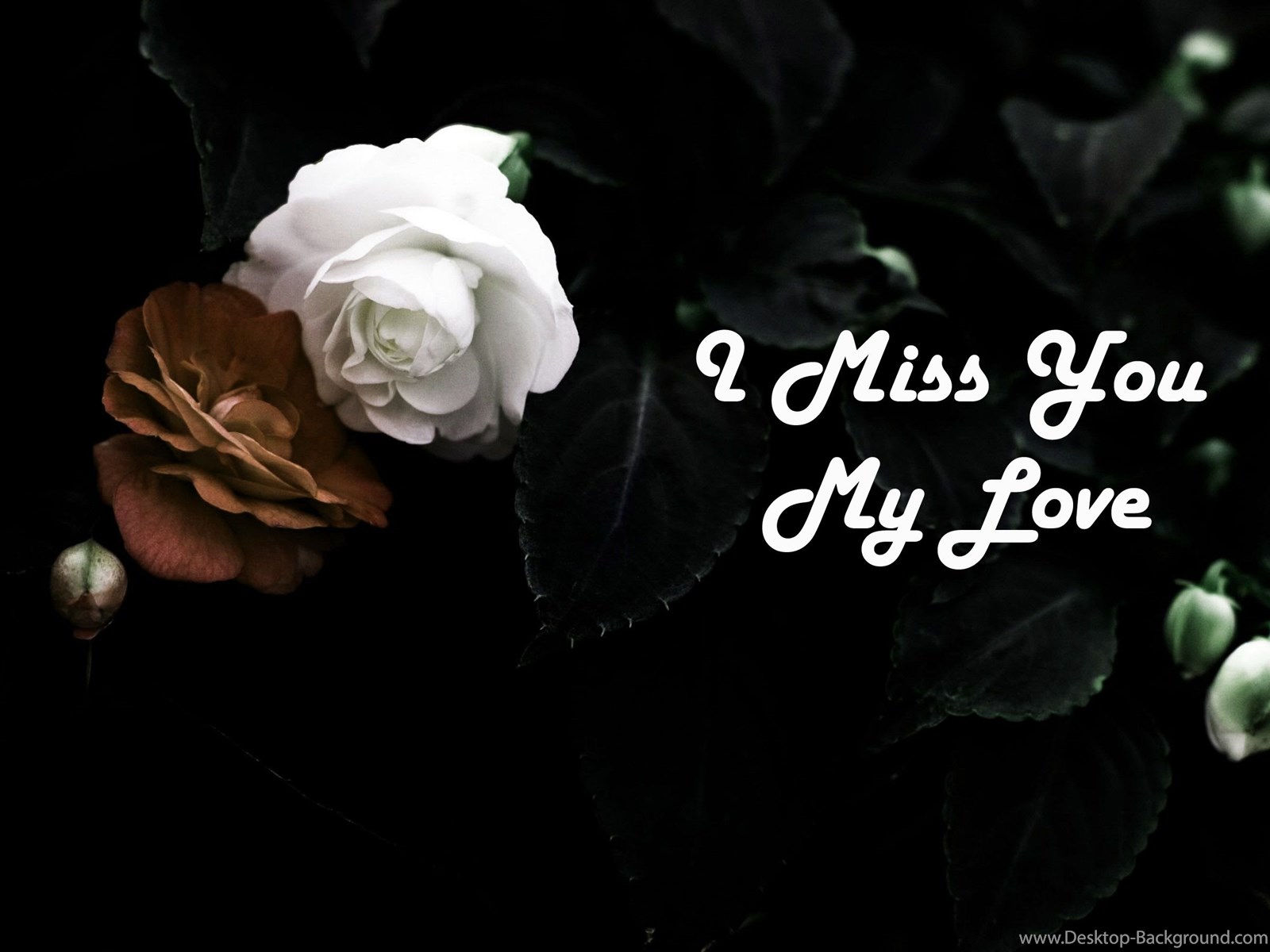 Fullscreen - Love Sayri Image Download , HD Wallpaper & Backgrounds