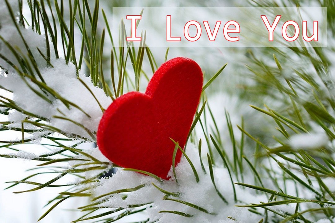 Beautiful I Love You Images With Heart For Propose - Winter Love , HD Wallpaper & Backgrounds