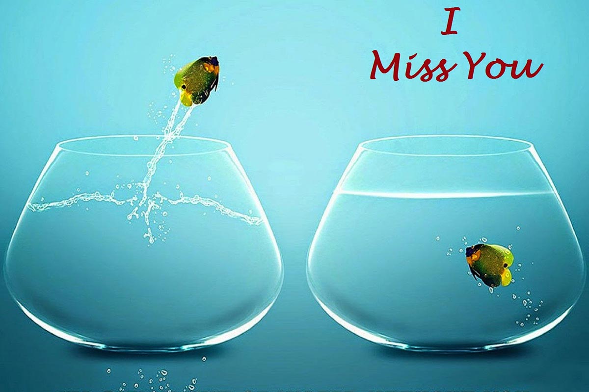 High Resolution Miss You Wallpapers Pics - Heart Touching Miss U , HD Wallpaper & Backgrounds