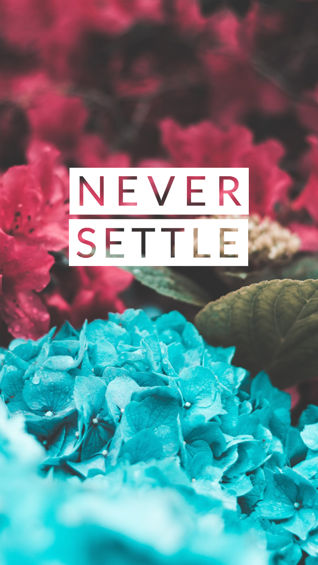 Never Settle 29 - Never Settle Wallpaper Hd , HD Wallpaper & Backgrounds