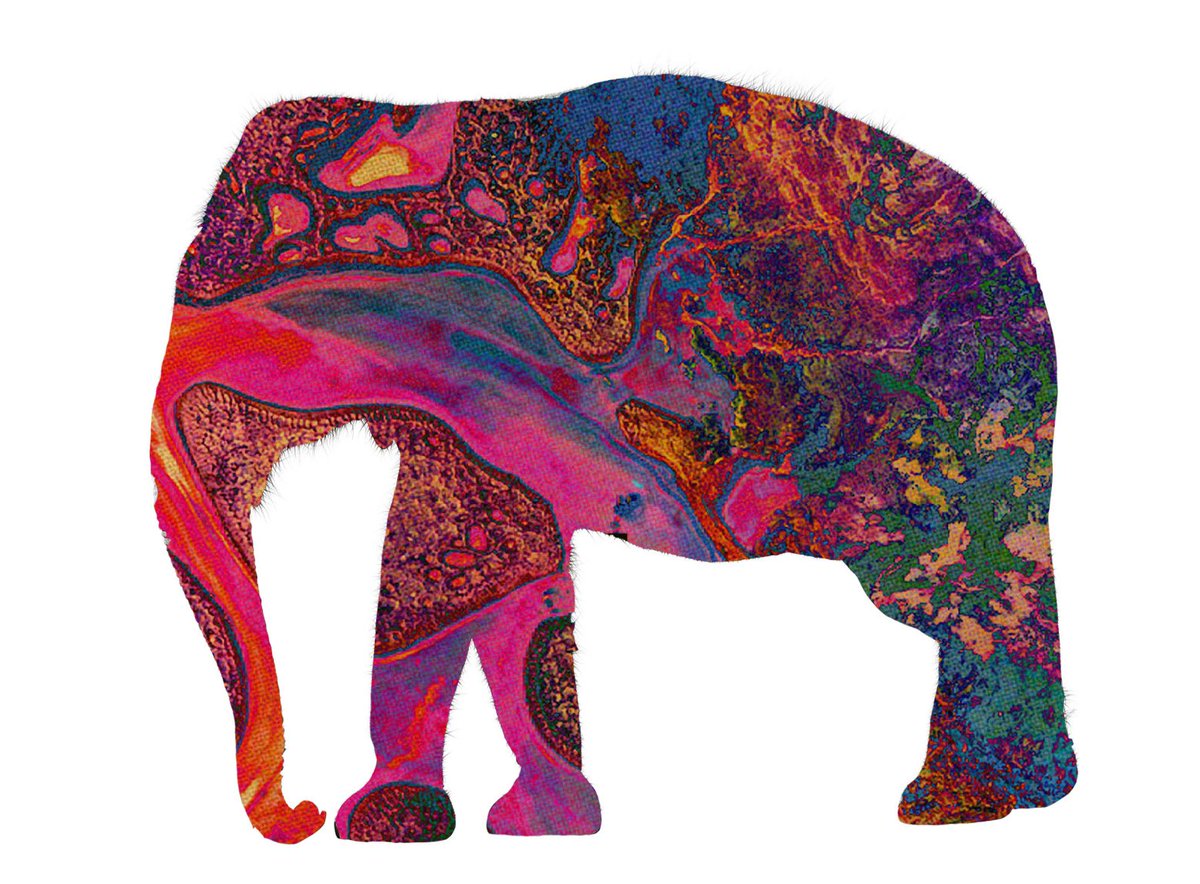Tame Impala Elephant , HD Wallpaper & Backgrounds
