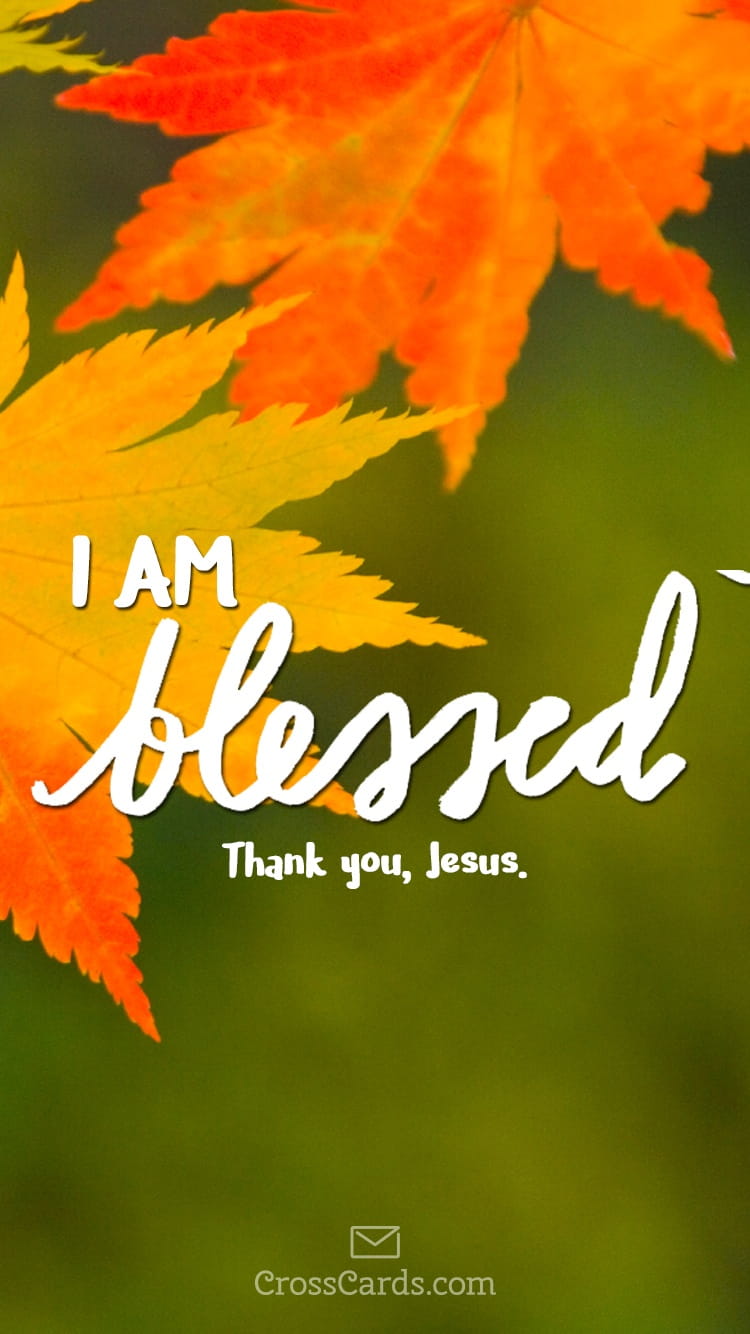 I Am Blessed - You Are Blessed , HD Wallpaper & Backgrounds
