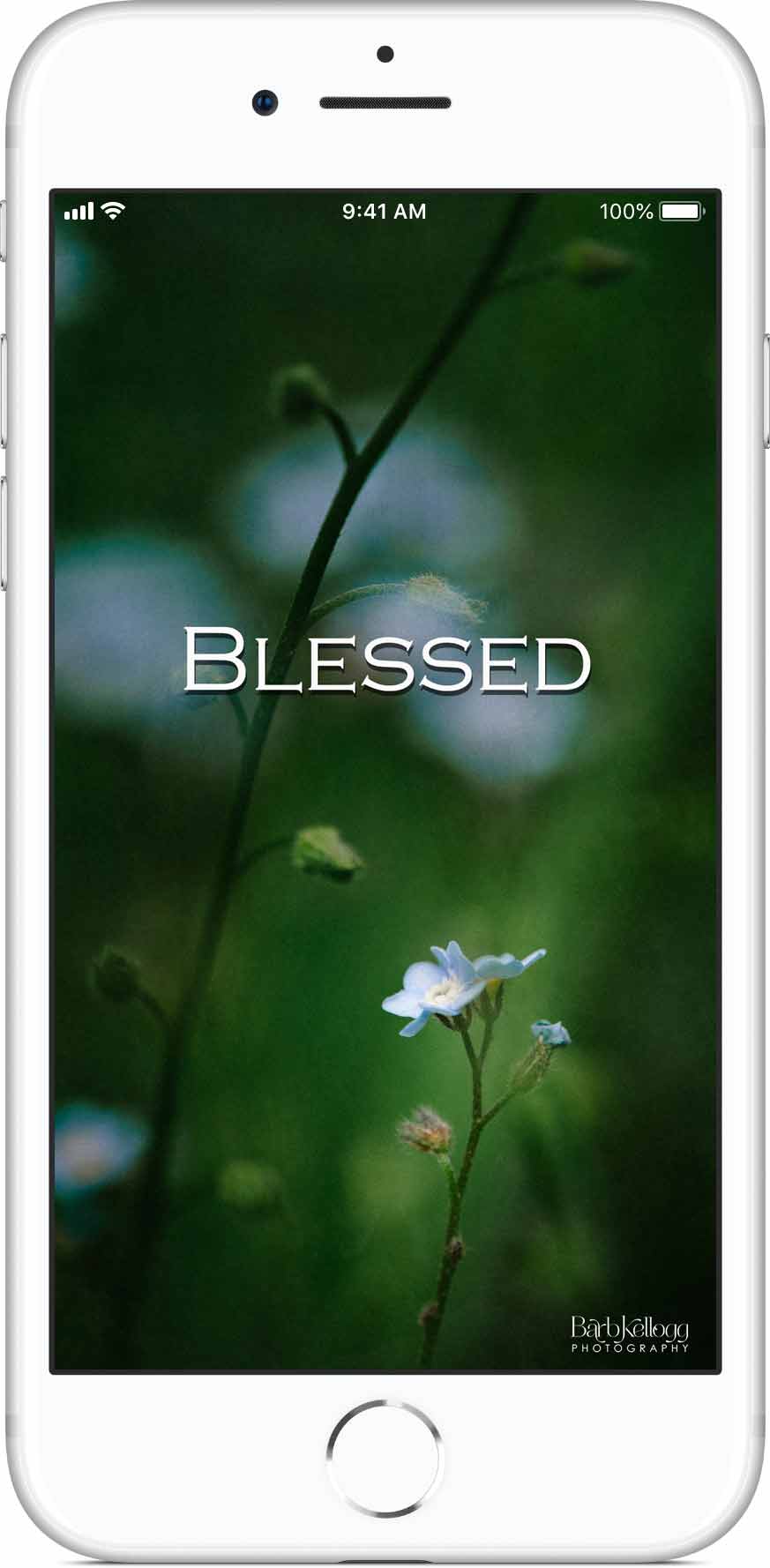 Blessed Phone Wallpaper-fine Art, Flower, Nature Photography - Blessed , HD Wallpaper & Backgrounds