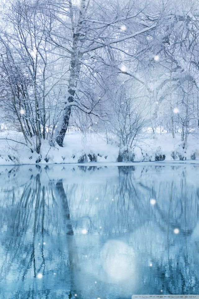 Winter Wallpapers Hd Desktop Backgrounds Images And - Winter Wallpaper Hd For Mobile , HD Wallpaper & Backgrounds