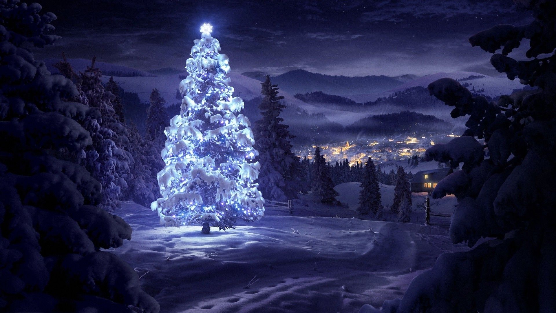 50 Beautiful Christmas Tree Wallpapers - Snow Night Wallpaper Hd , HD Wallpaper & Backgrounds