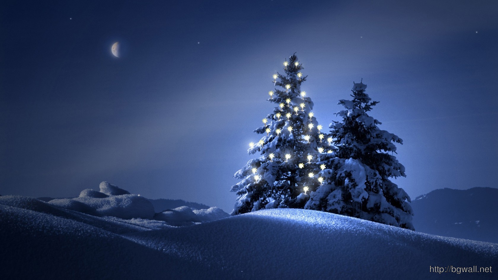 Download Wallpaper - Night With Christmas Tree , HD Wallpaper & Backgrounds