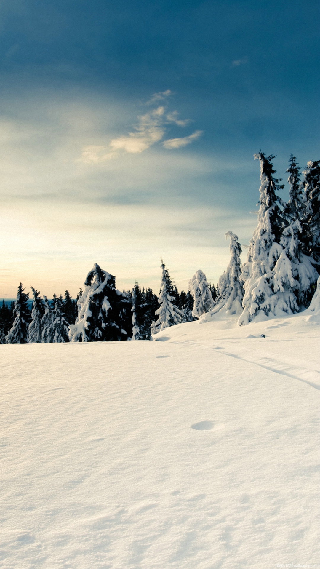 Winter Background For Iphone Hd - Wapking Wallpaper Full Hd , HD Wallpaper & Backgrounds