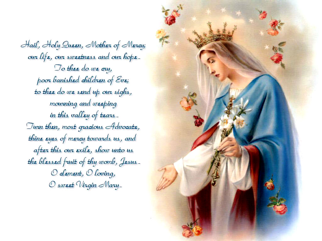 Full View - Happy Feast Mother Mary , HD Wallpaper & Backgrounds