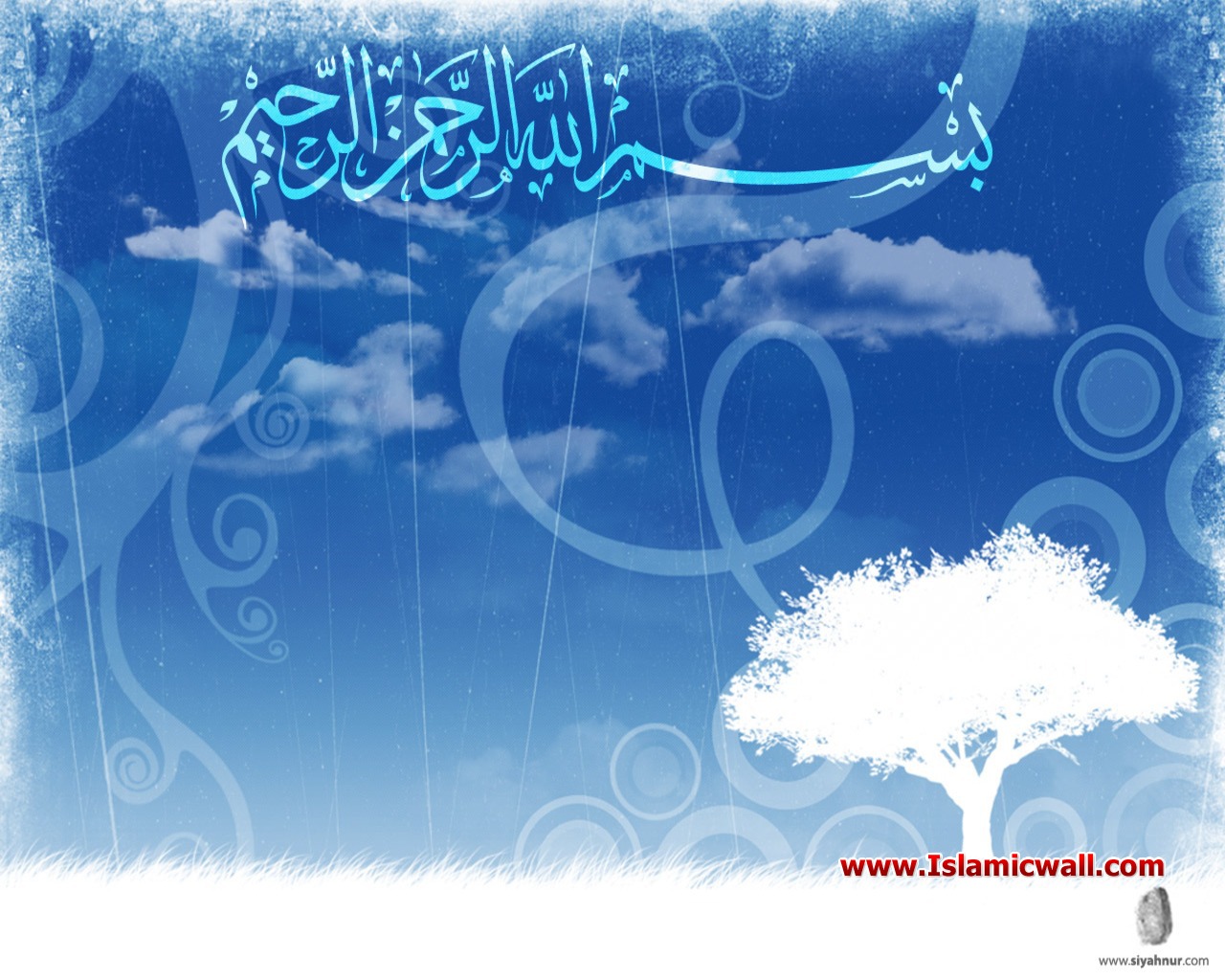 Share This - - Baground Bismillah , HD Wallpaper & Backgrounds