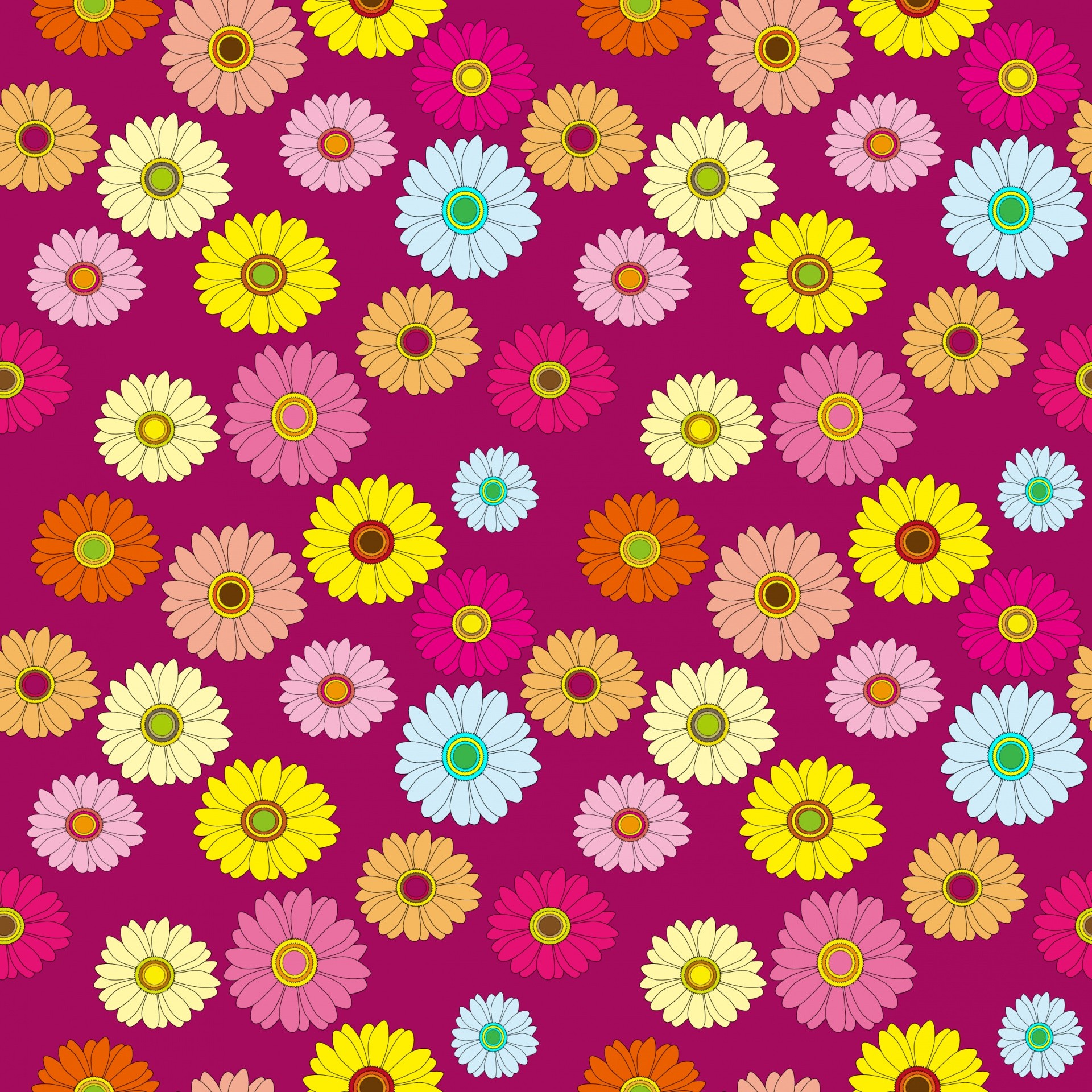 Download - Chrysanths , HD Wallpaper & Backgrounds