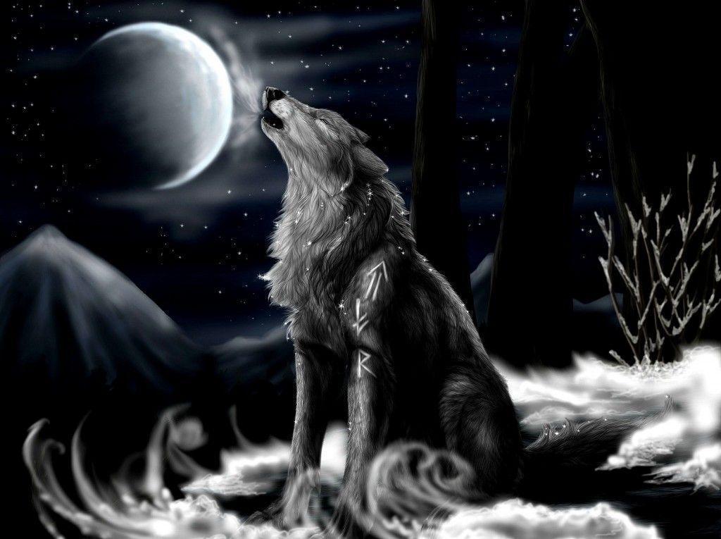 Dark Wolf Wallpaper - Wolf Wallpaper 3d , HD Wallpaper & Backgrounds