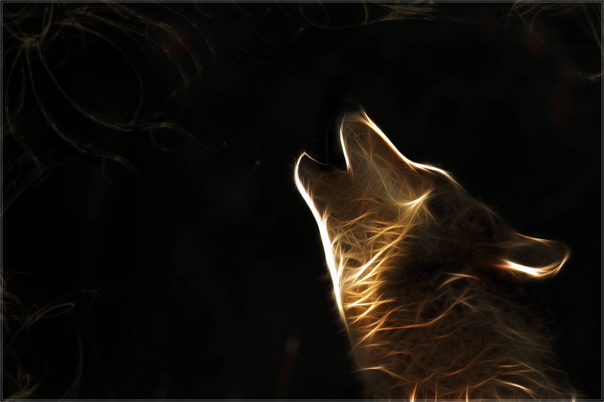 Wallpaper Hd Wolf 18 16527 Wallpaper And Background - Fractal Wolf , HD Wallpaper & Backgrounds