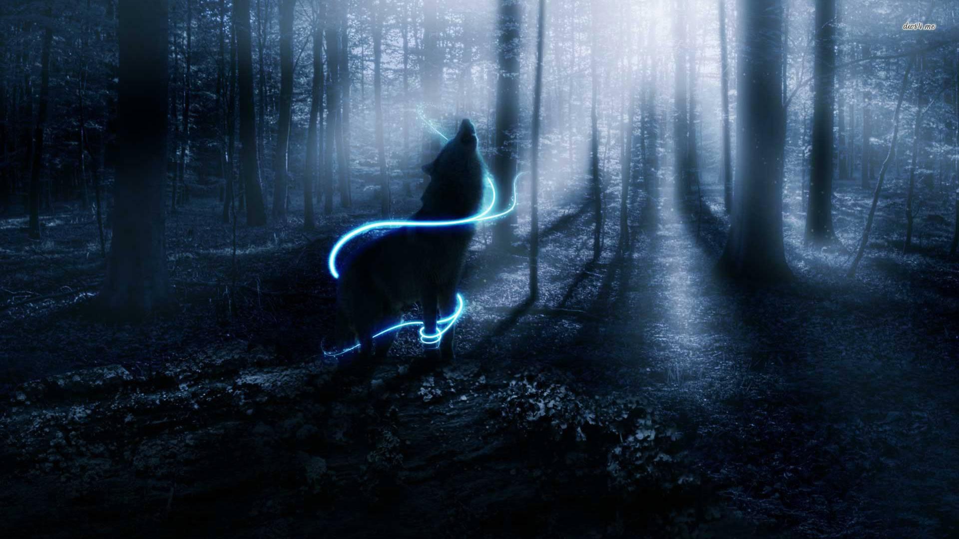 Lone Wolf Hd Wallpaper - Wolf In The Wood , HD Wallpaper & Backgrounds