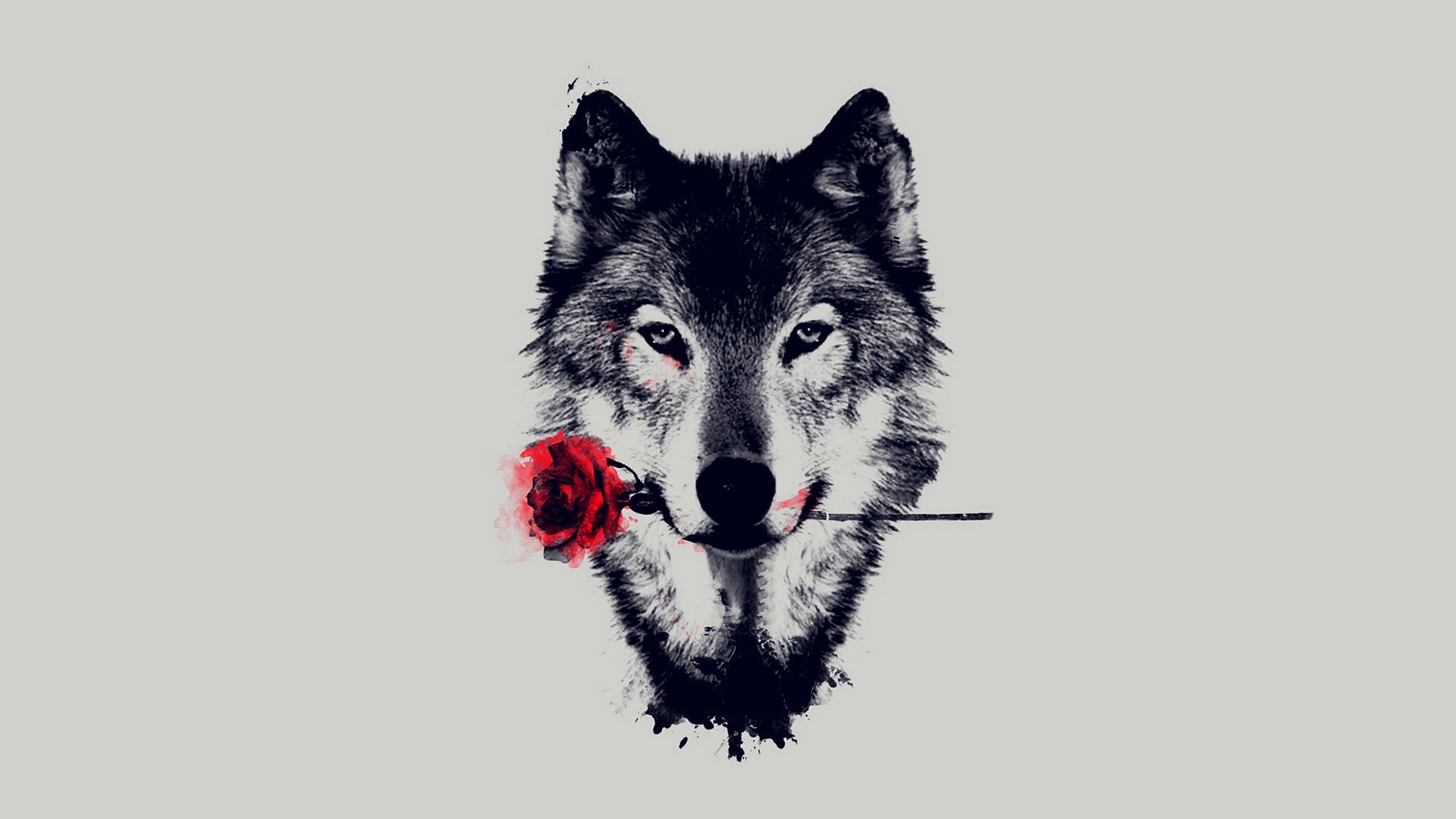 Lone Wolf Wallpaper - Animals Abstract Black And White , HD Wallpaper & Backgrounds