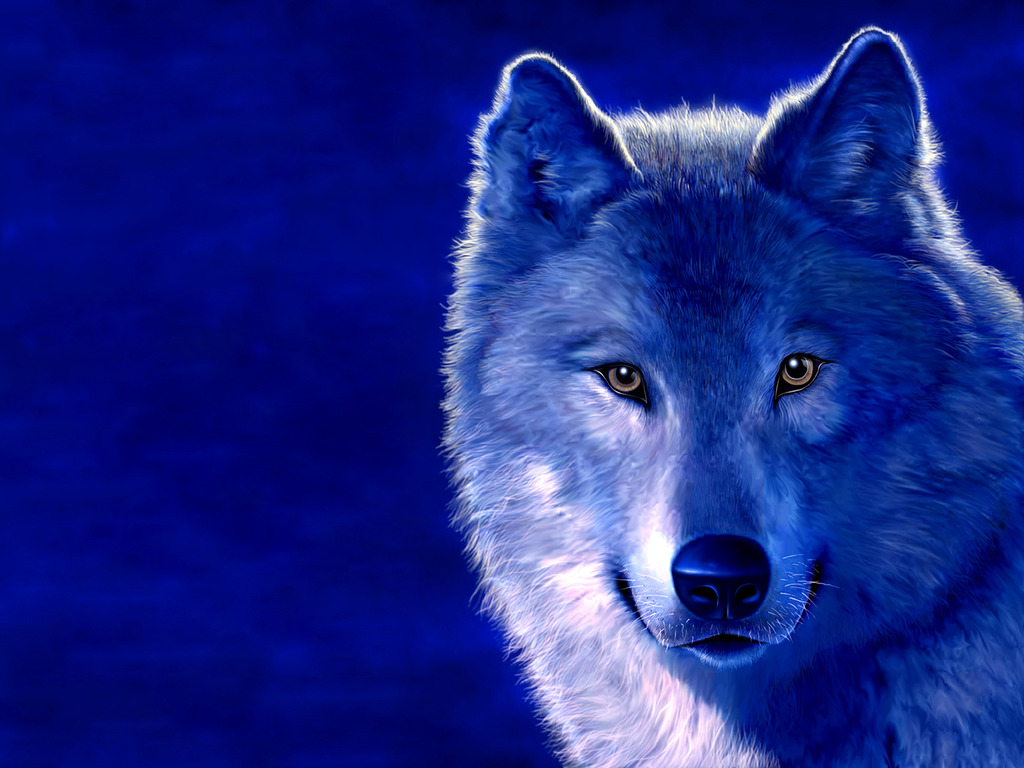 Live Wolf Wallpaper Free - Blue Animals , HD Wallpaper & Backgrounds