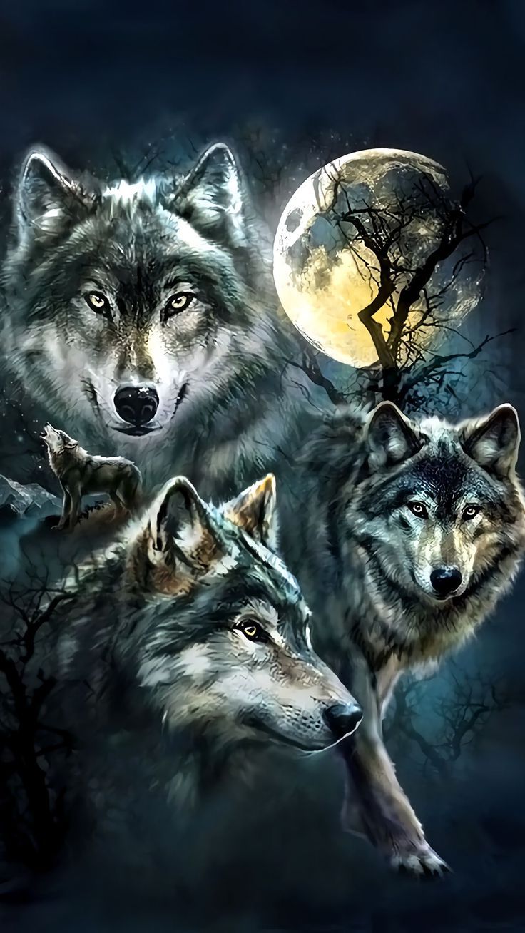 Wolf Wallpaper For Iphone - Iphone Wallpaper Wolf , HD Wallpaper & Backgrounds