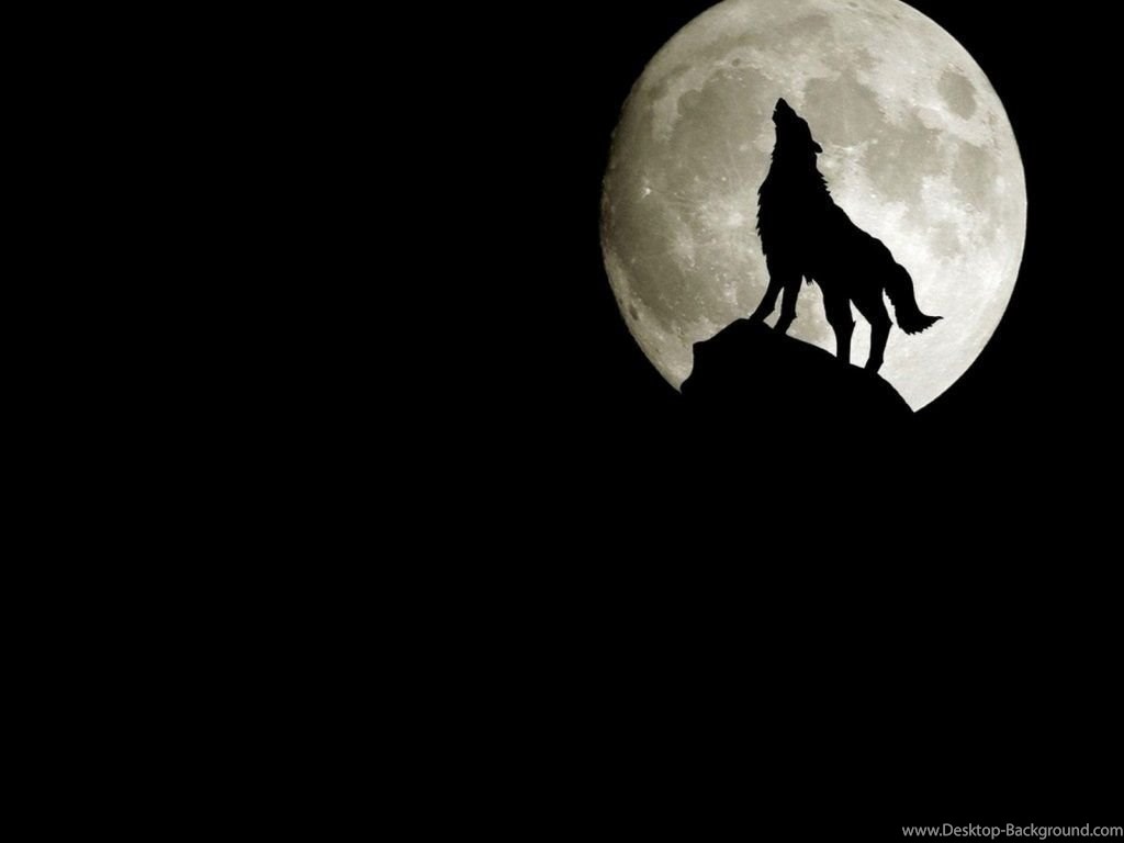 3d Wolf Wallpapers Wallpapers, Wallpapers Desktop Background - Background Black Wolf Wallpaper Hd , HD Wallpaper & Backgrounds