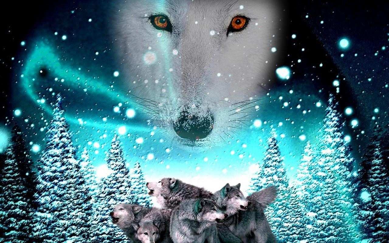 3d Wolf Wallpaper Android Apps On Google Play - Tapety O Wilkach 3d , HD Wallpaper & Backgrounds