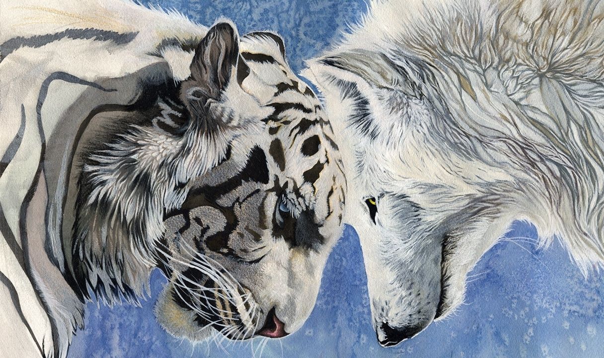 White Wolf Wallpapers With White Snow Tiger - White Tiger And Wolf , HD Wallpaper & Backgrounds