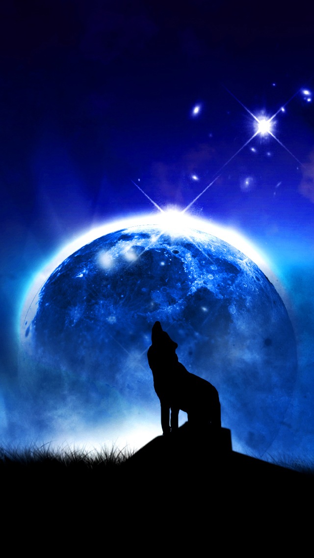 Wolf On The Moonlight , HD Wallpaper & Backgrounds