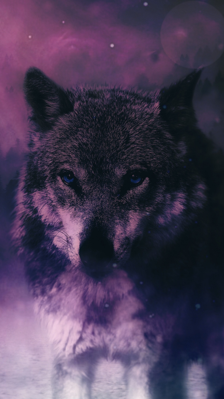 Atmosphere, Wolf, Black Panther, Nature, Sky Hd Wallpaper - Wolf Background , HD Wallpaper & Backgrounds
