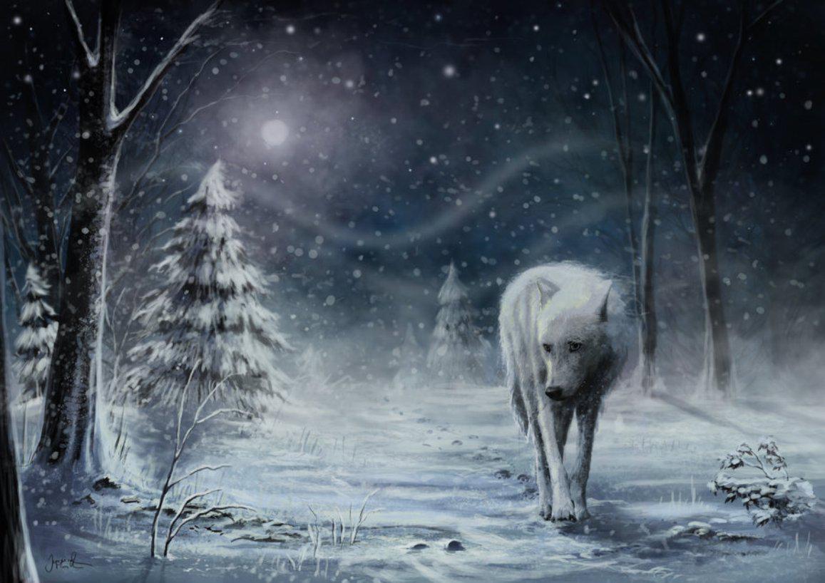 Lone Wolf Wallpapers Source - Wolf Lonely , HD Wallpaper & Backgrounds