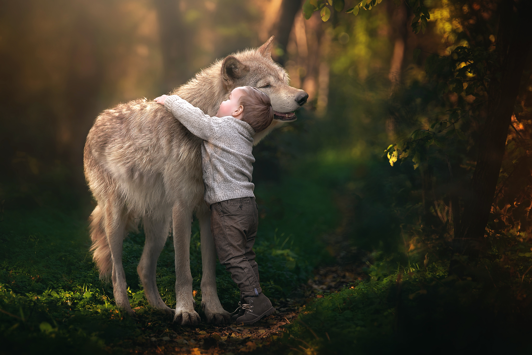 Desktop Wallpapers Free Boy And Huge Wolf - Wolf And Kid , HD Wallpaper & Backgrounds